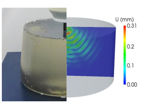 Simulation par Éléments Finis de la propagation des ondes dans un tissu biologique mou pour l'élastographie transitoire (thèse W. Ye) Simulation par Éléments Finis de la propagation des ondes dans un tissu biologique mou pour l'élastographie transitoire (thèse W. Ye)